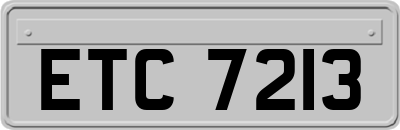 ETC7213