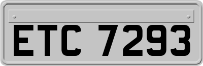 ETC7293