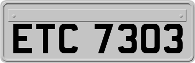 ETC7303