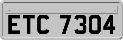ETC7304