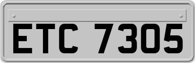 ETC7305