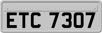 ETC7307