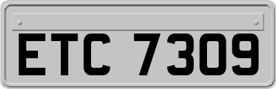 ETC7309