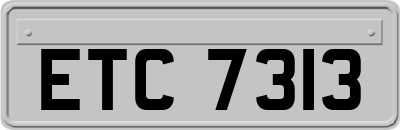 ETC7313