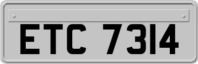 ETC7314