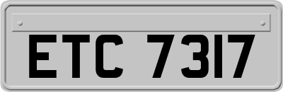 ETC7317
