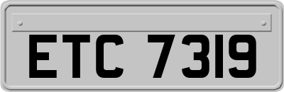 ETC7319