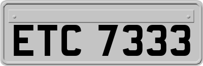 ETC7333