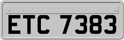 ETC7383