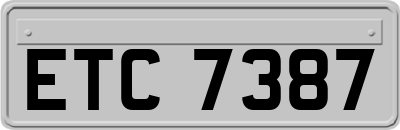 ETC7387