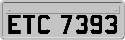 ETC7393