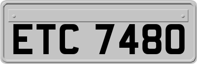 ETC7480