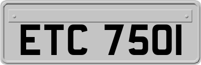 ETC7501
