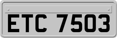 ETC7503