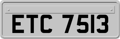 ETC7513