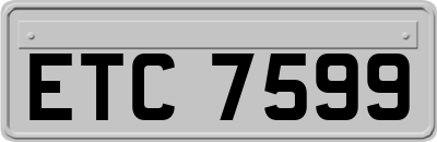 ETC7599
