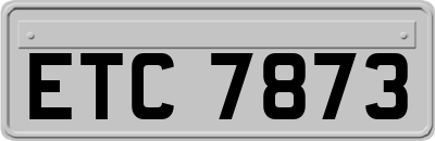 ETC7873