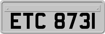 ETC8731