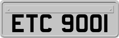 ETC9001