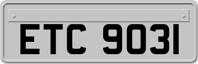 ETC9031