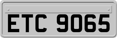 ETC9065