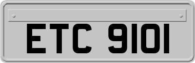 ETC9101