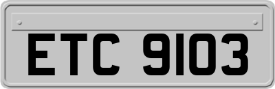 ETC9103