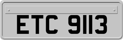 ETC9113