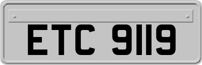 ETC9119