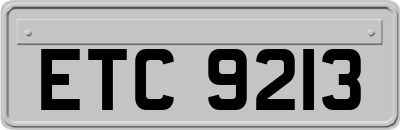 ETC9213