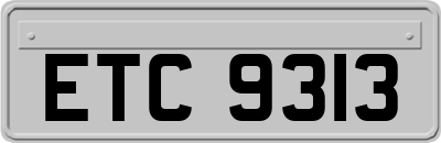 ETC9313