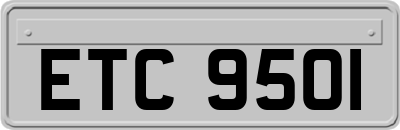 ETC9501