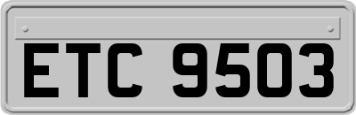 ETC9503