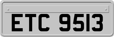ETC9513