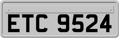 ETC9524