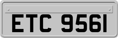 ETC9561