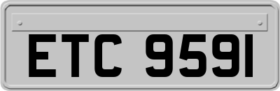 ETC9591