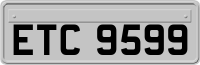 ETC9599