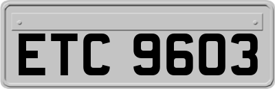 ETC9603
