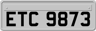 ETC9873
