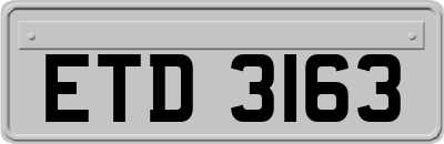 ETD3163