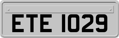 ETE1029