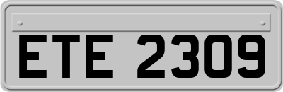 ETE2309