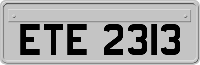 ETE2313