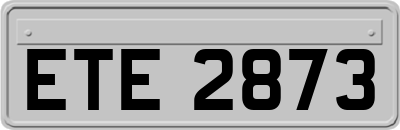 ETE2873