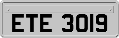 ETE3019