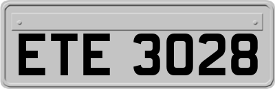 ETE3028