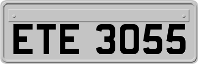 ETE3055