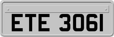 ETE3061