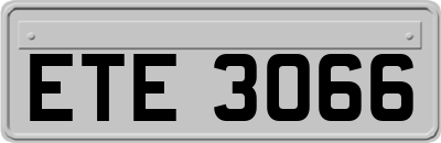 ETE3066
